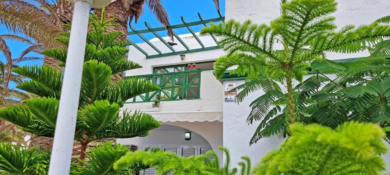 Ferienwohnung Palm Garden - Costa Calma - Pool - Glasfaserinternet エクステリア 写真
